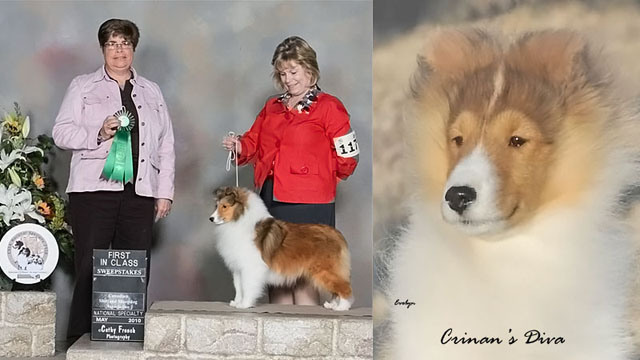 Amie